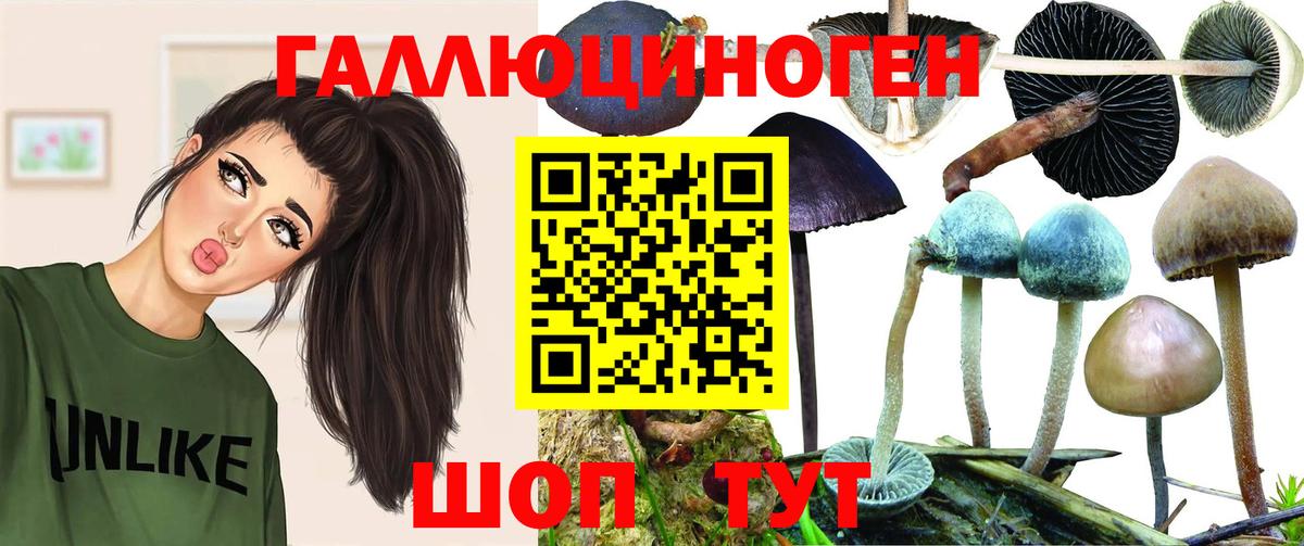 Галлюциногенные грибы мицелий Богородицк