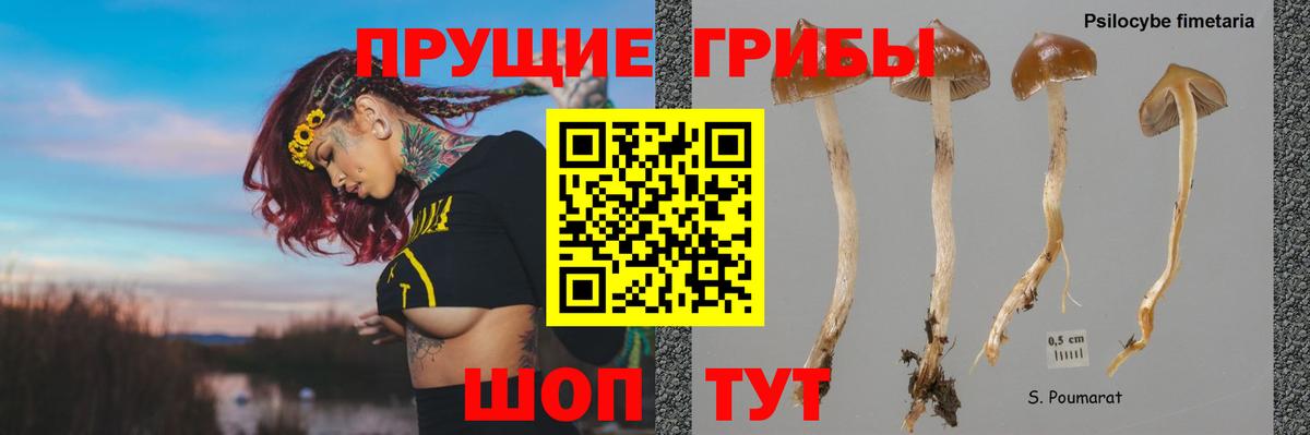 Галлюциногенные грибы Psilocybe  Галлюциногенные грибы Cubensis  Вход с VPN  Богородицк 
